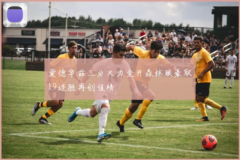 爱德华兹三分火力全开森林狼豪取19连胜再创佳绩