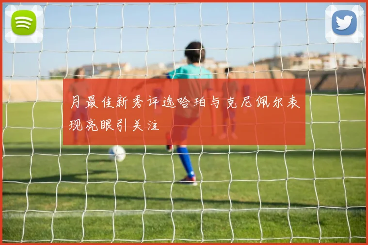 月最佳新秀评选哈珀与克尼佩尔表现亮眼引关注