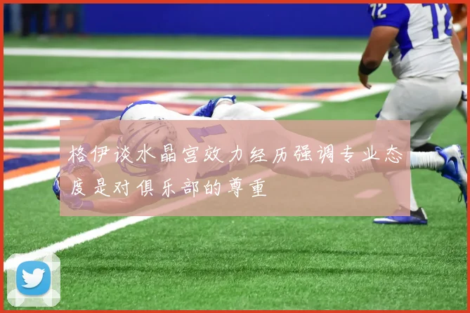 格伊谈水晶宫效力经历强调专业态度是对俱乐部的尊重