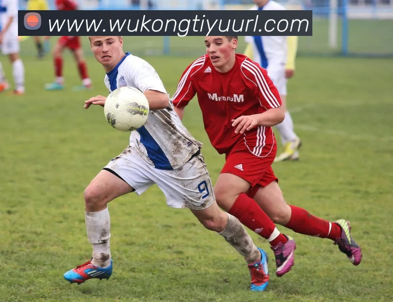 App Interface Preview