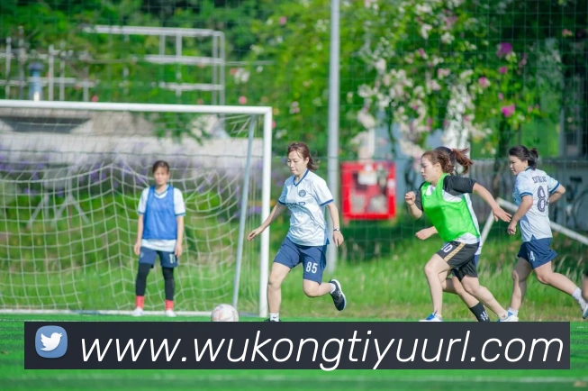 悟空体育APP 封面图